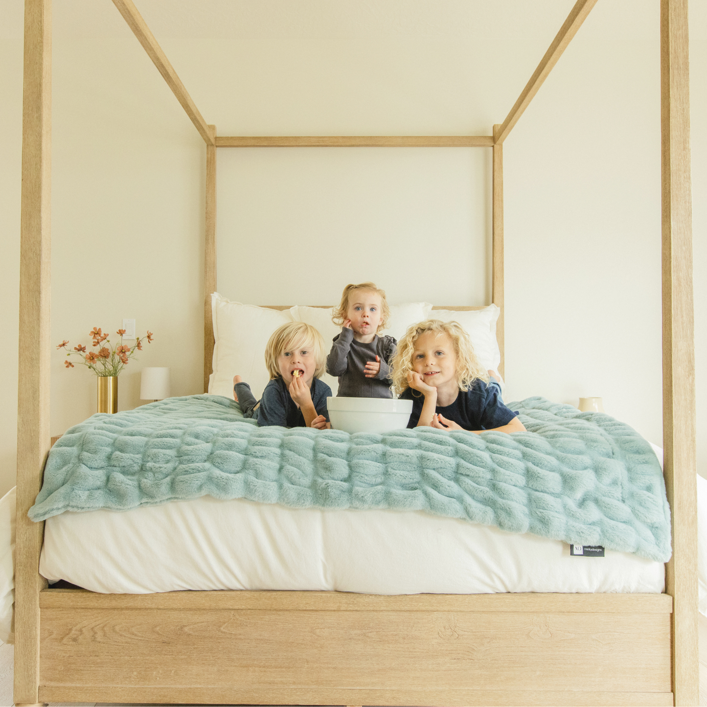 Glacier Glide Chic Blanket - Minky Designs