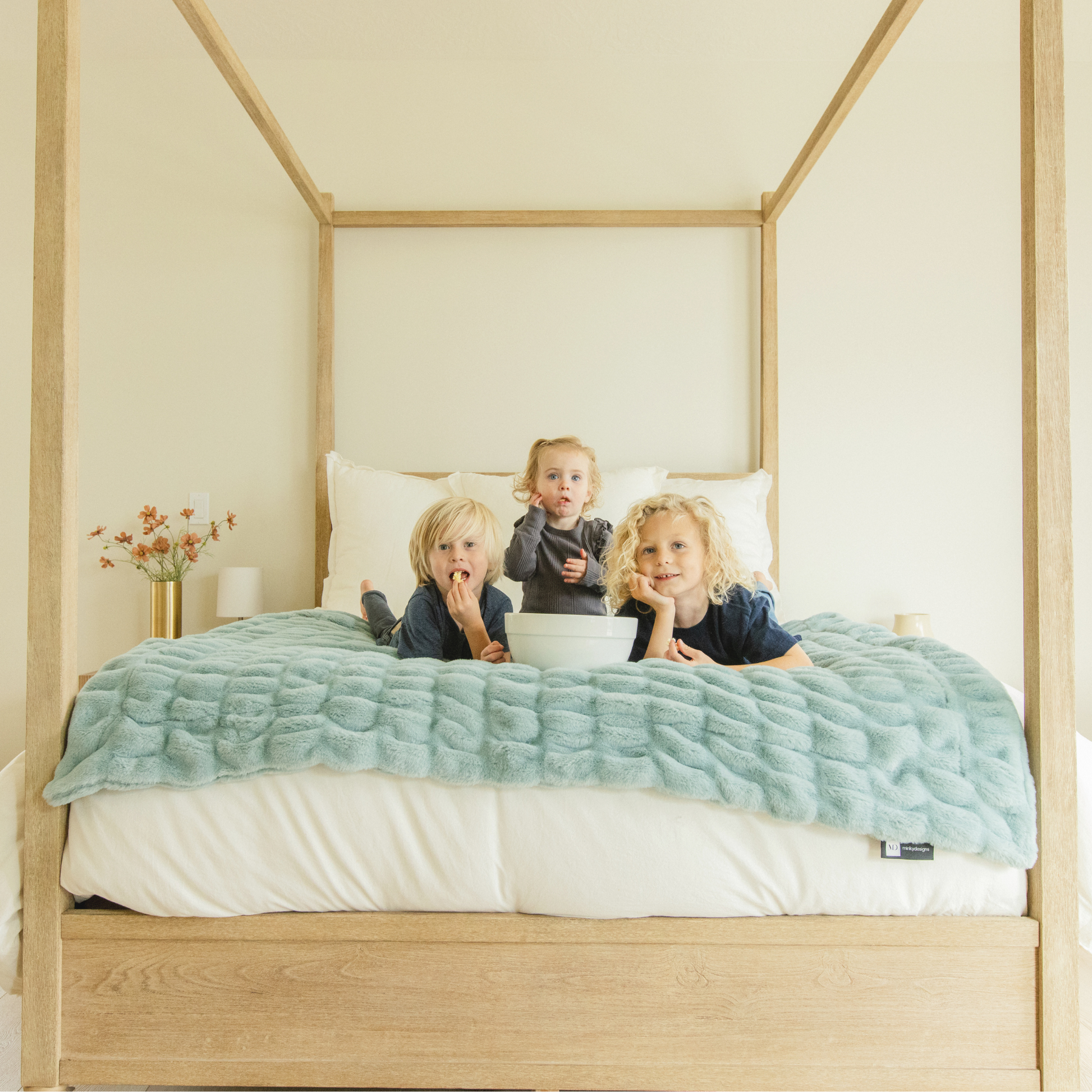 Glacier Glide Chic Blanket - Minky Designs