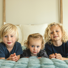 Load image into Gallery viewer, Glacier Glide Chic Blanket - Minky Designs