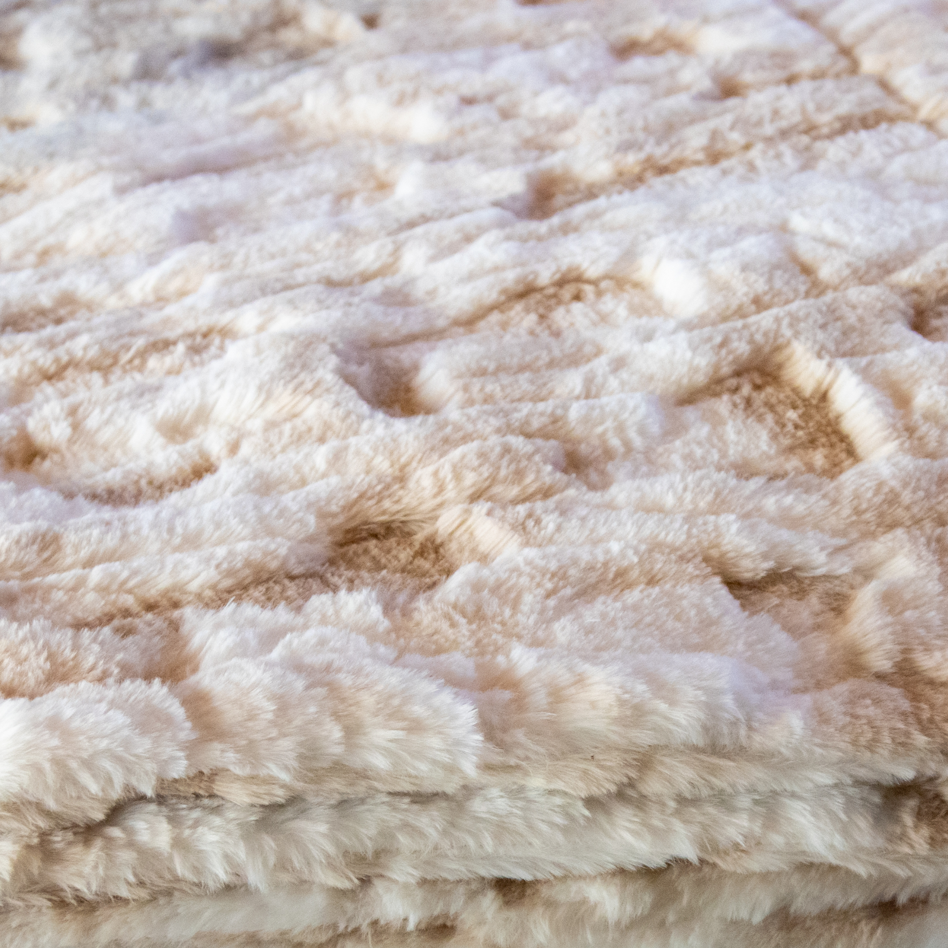 Crème Brûlée | Posh Collection - Minky Designs