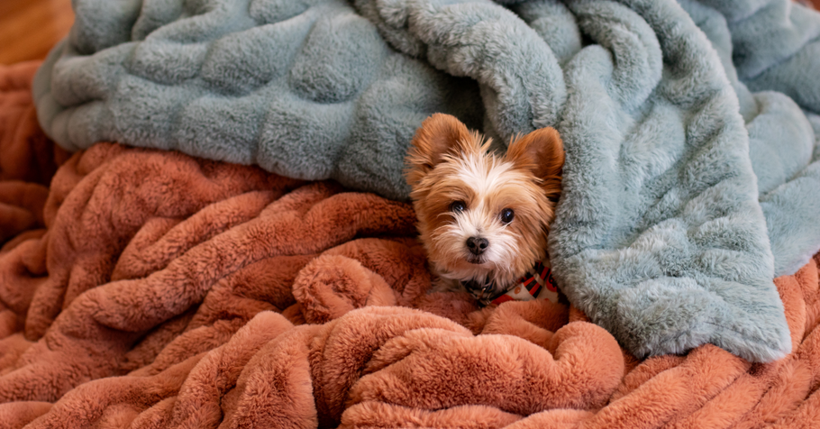 How to Care for Your New Minky Blanket