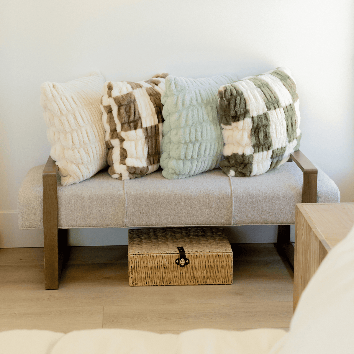 Shop Throw Pillows