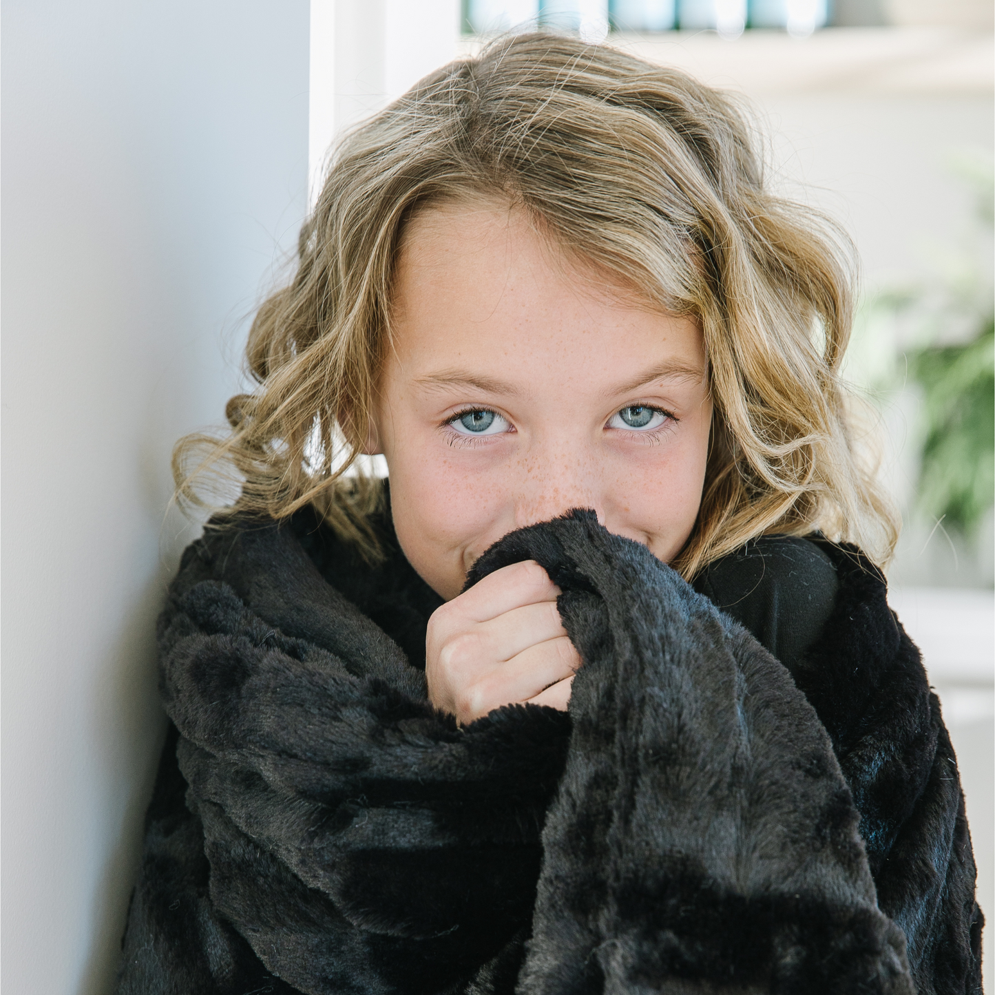 Jaguar Black | Posh Collection - Minky Designs