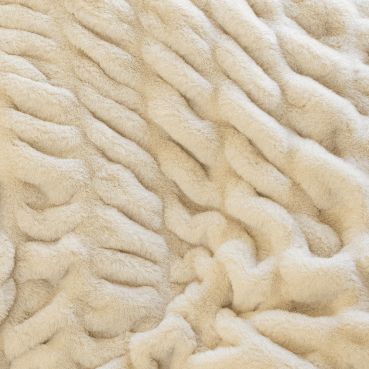 Champagne Minky Blanket